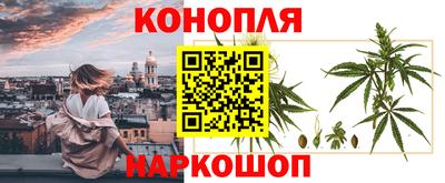 крисы Рузаевка