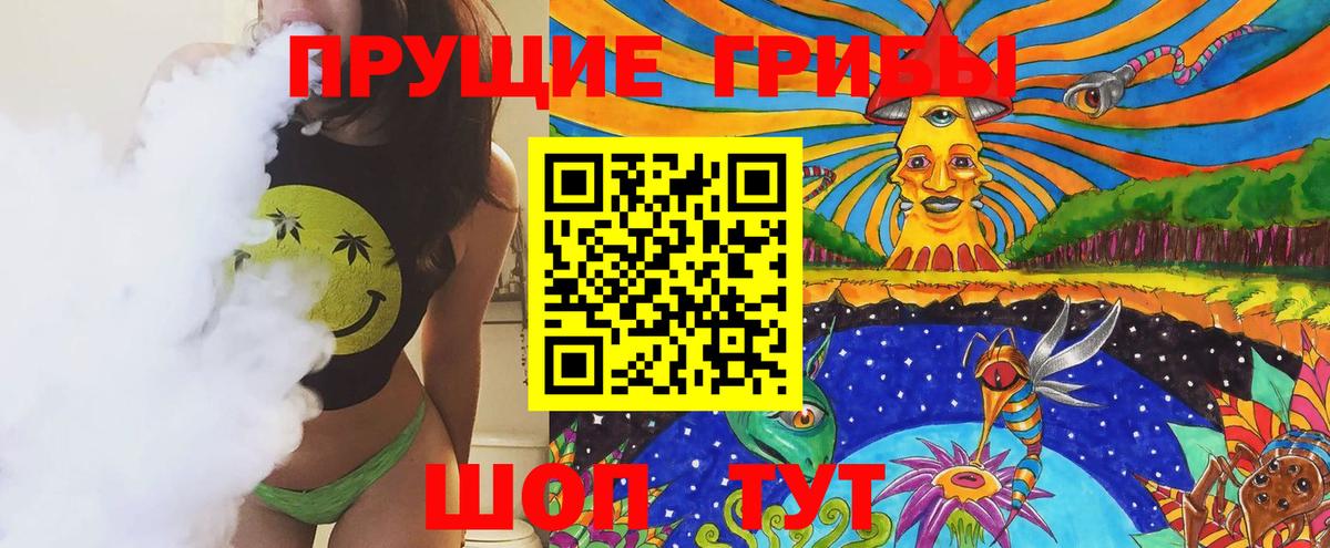 Можга  Псилоцибиновые грибы Psilocybe  Вход с VPN 