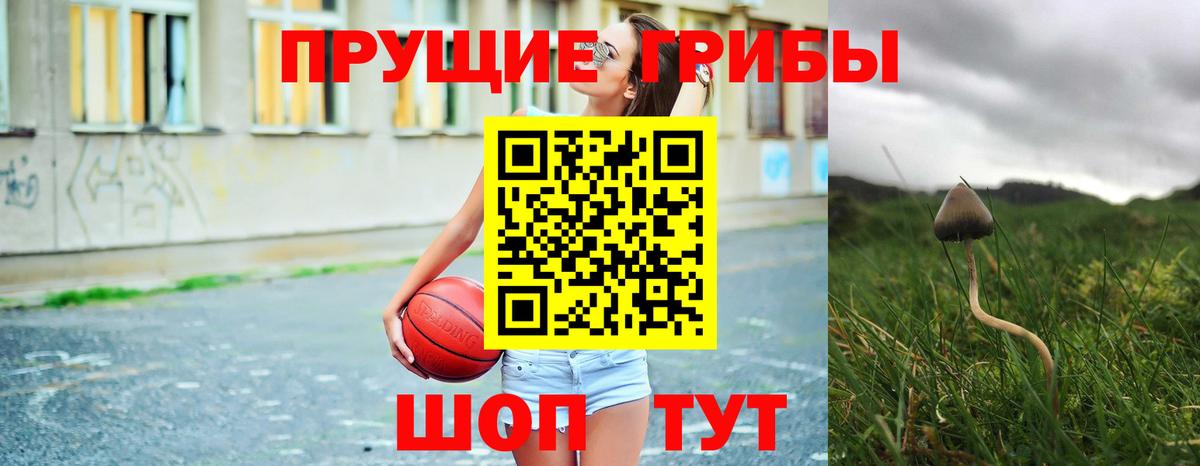 Псилоцибиновые грибы Psilocybe Можга